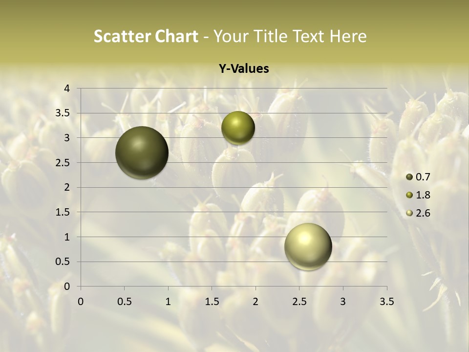 Screen Flowered Closeup Plant PowerPoint Template