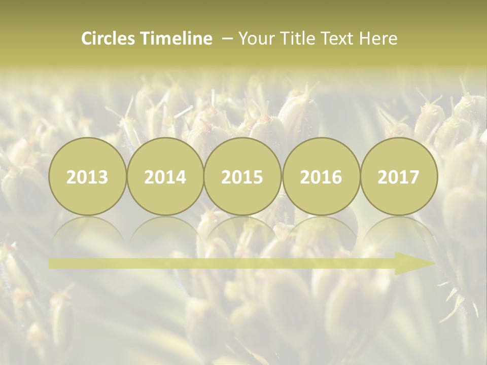 Screen Flowered Closeup Plant PowerPoint Template