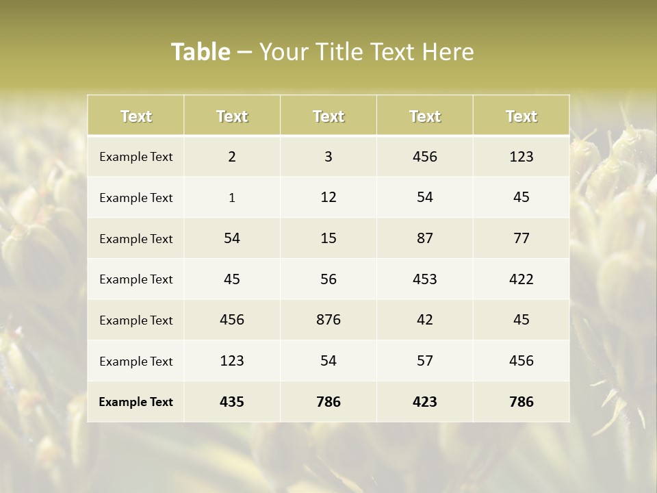 Screen Flowered Closeup Plant PowerPoint Template
