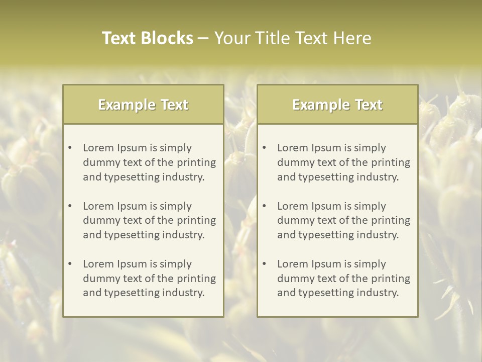 Screen Flowered Closeup Plant PowerPoint Template