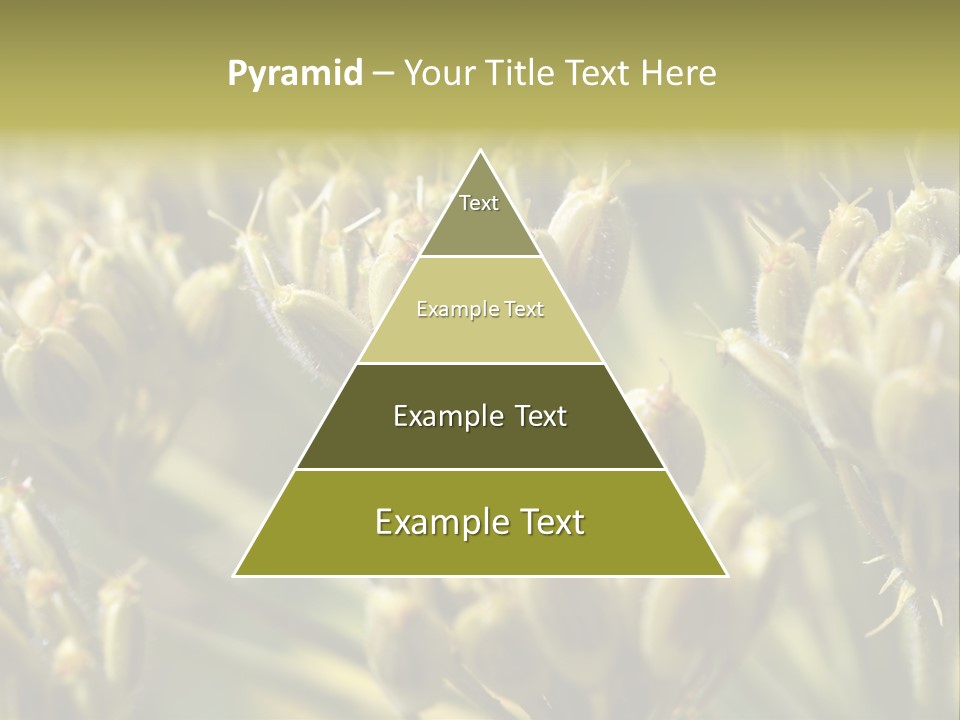 Screen Flowered Closeup Plant PowerPoint Template