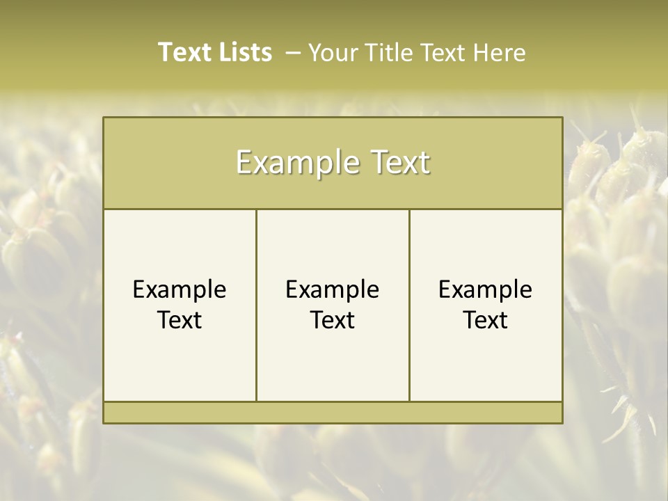 Screen Flowered Closeup Plant PowerPoint Template