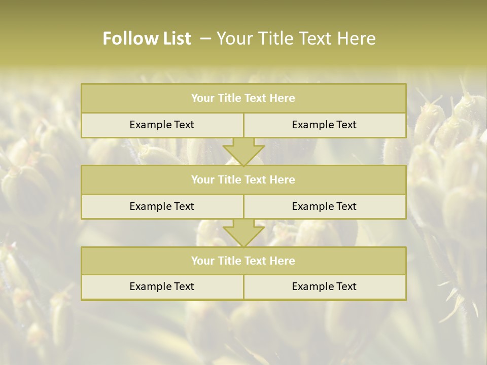 Screen Flowered Closeup Plant PowerPoint Template