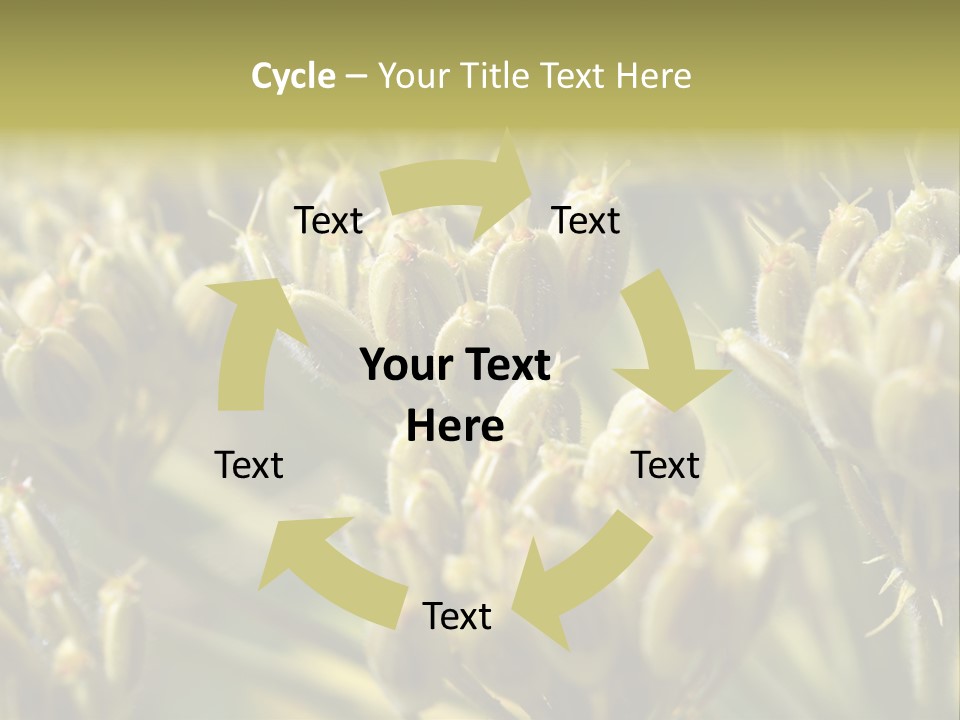 Screen Flowered Closeup Plant PowerPoint Template