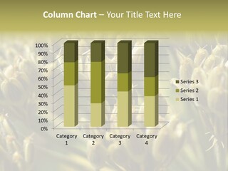 Screen Flowered Closeup Plant PowerPoint Template