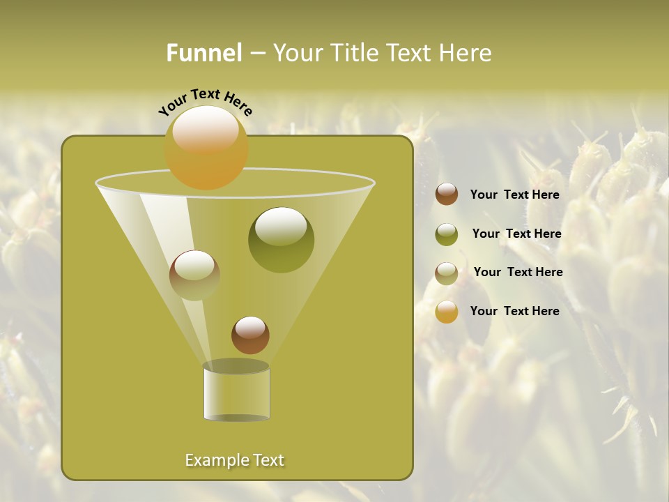 Screen Flowered Closeup Plant PowerPoint Template