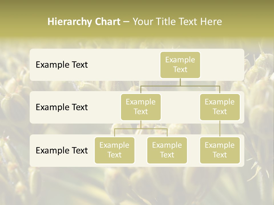 Screen Flowered Closeup Plant PowerPoint Template