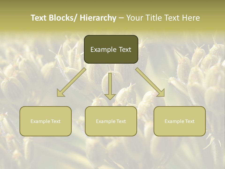 Screen Flowered Closeup Plant PowerPoint Template