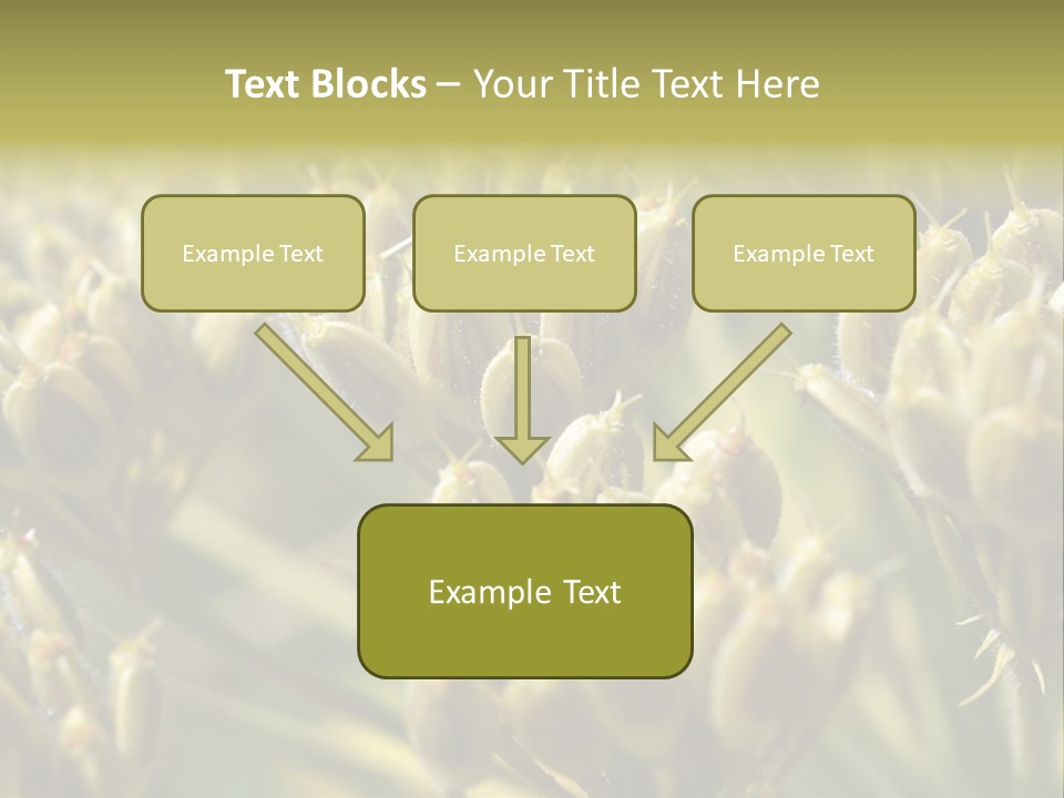 Screen Flowered Closeup Plant PowerPoint Template