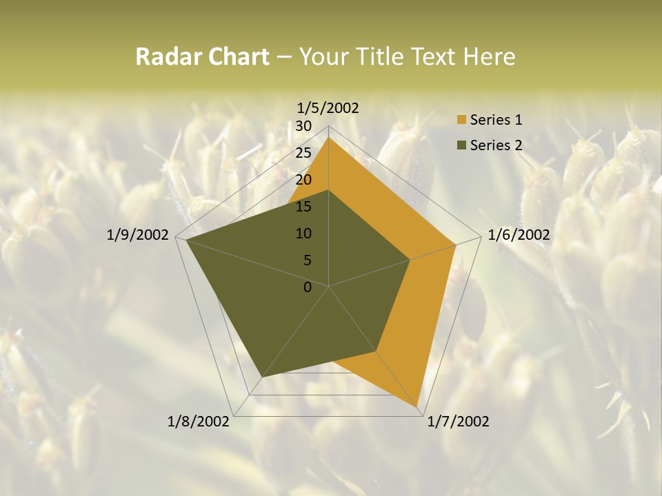 Screen Flowered Closeup Plant PowerPoint Template