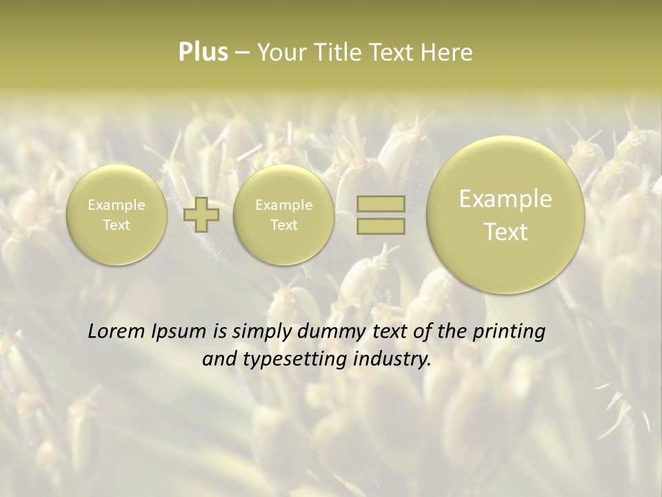 Screen Flowered Closeup Plant PowerPoint Template