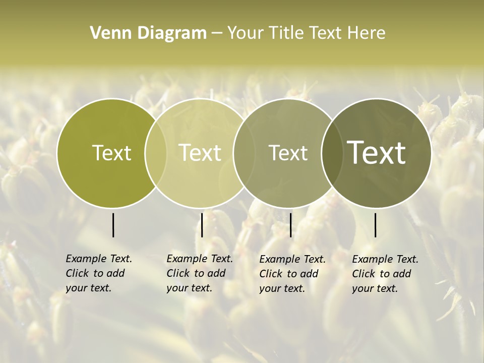 Screen Flowered Closeup Plant PowerPoint Template