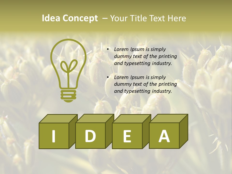 Screen Flowered Closeup Plant PowerPoint Template