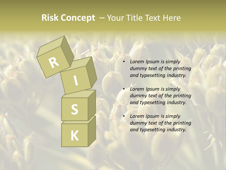 Screen Flowered Closeup Plant PowerPoint Template