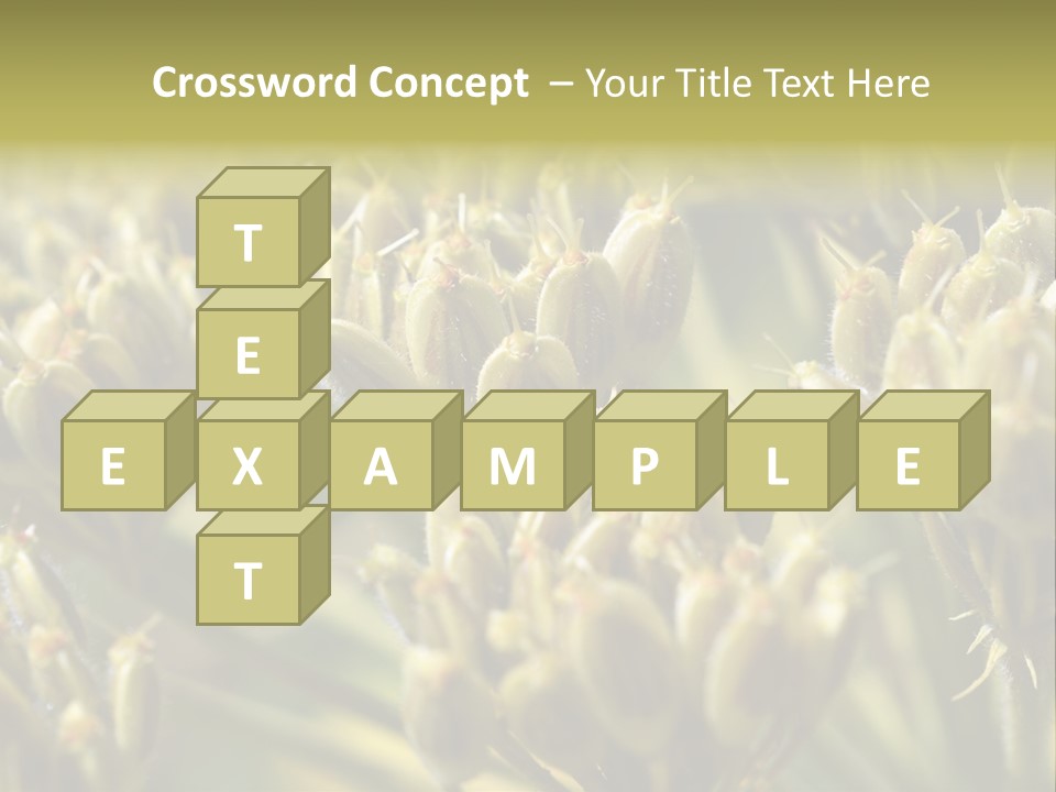 Screen Flowered Closeup Plant PowerPoint Template