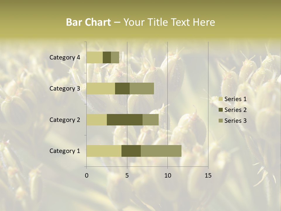 Screen Flowered Closeup Plant PowerPoint Template