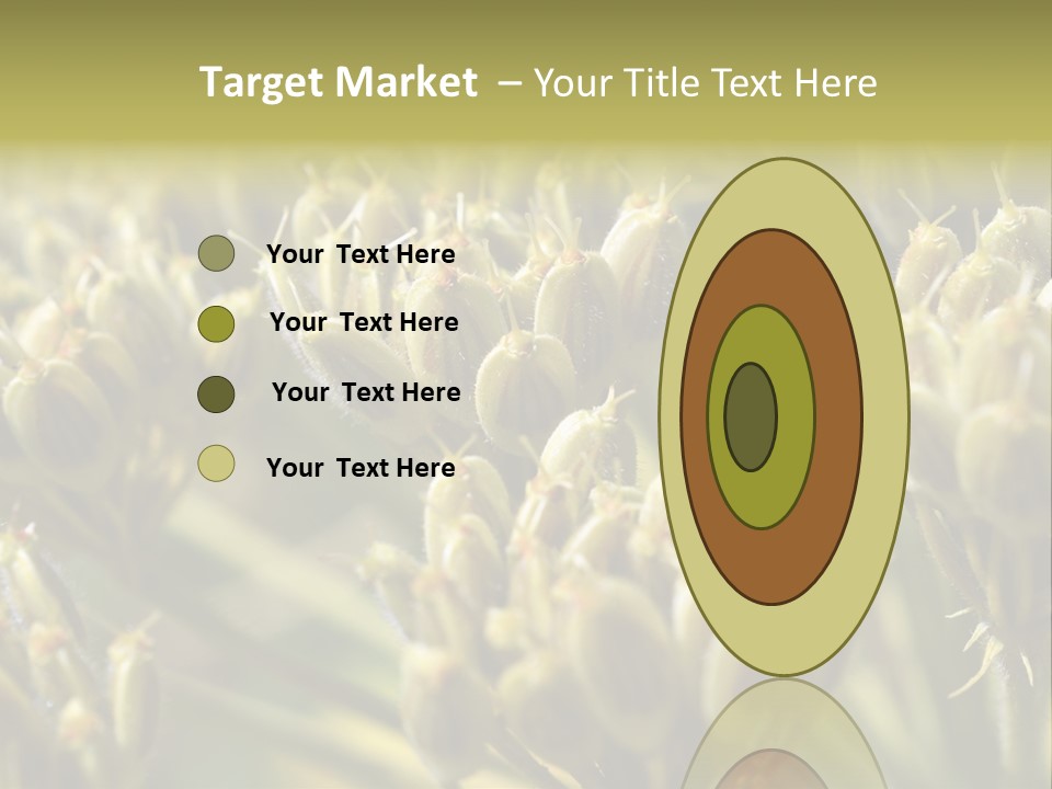 Screen Flowered Closeup Plant PowerPoint Template
