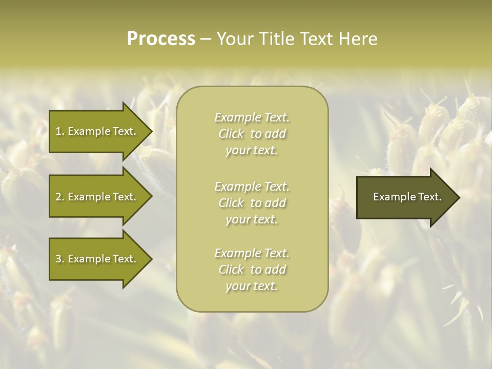 Screen Flowered Closeup Plant PowerPoint Template