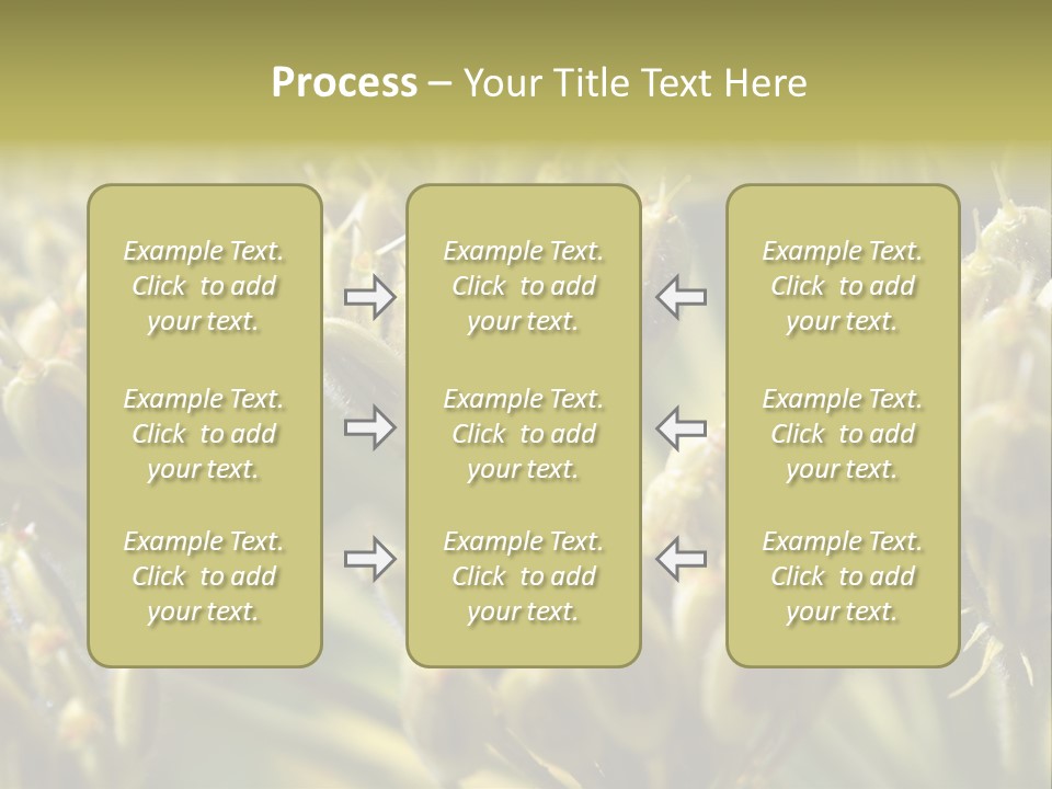 Screen Flowered Closeup Plant PowerPoint Template