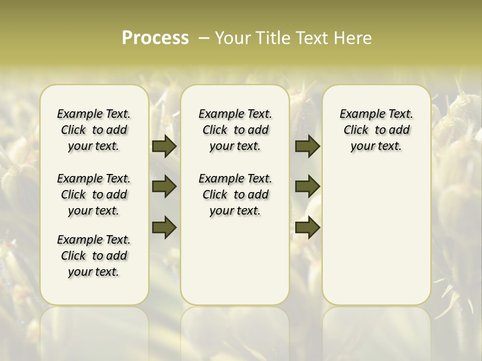 Screen Flowered Closeup Plant PowerPoint Template