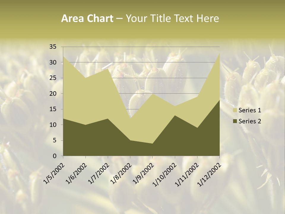 Screen Flowered Closeup Plant PowerPoint Template