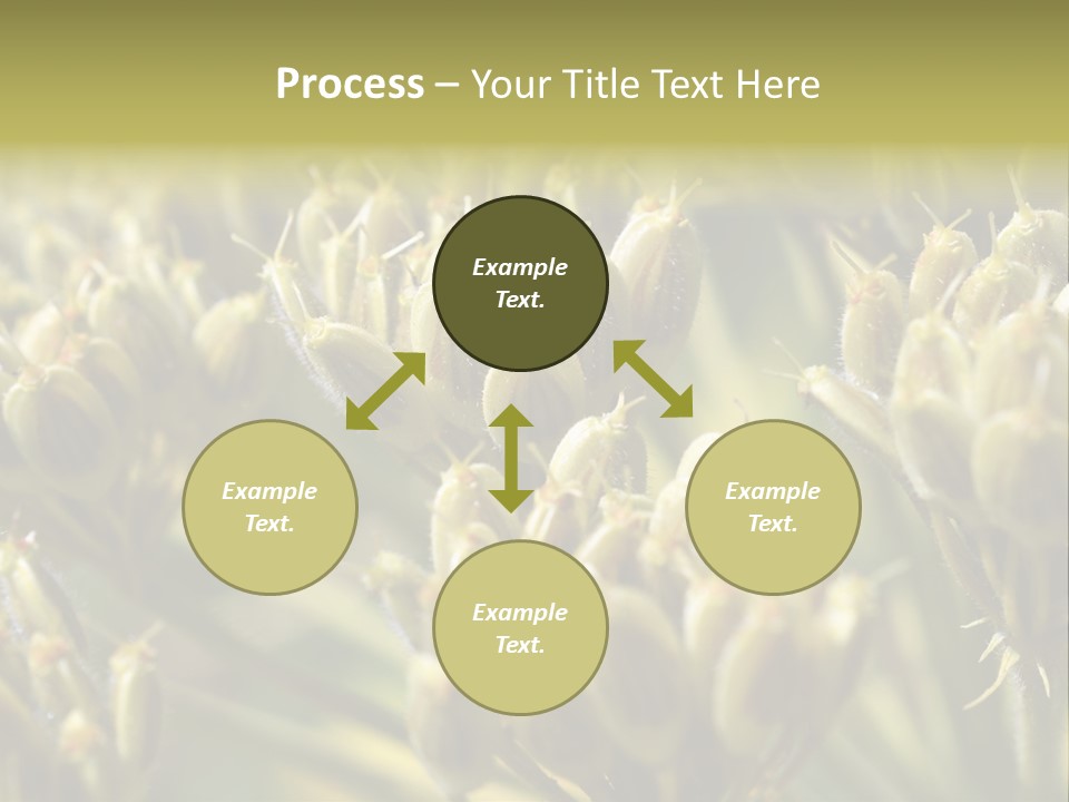 Screen Flowered Closeup Plant PowerPoint Template