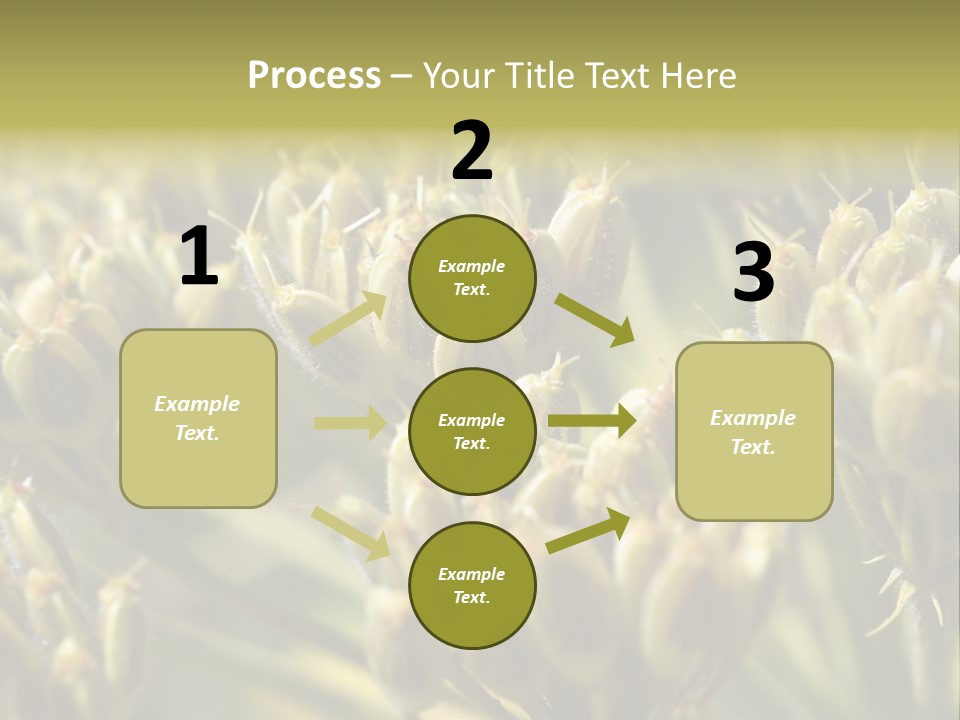 Screen Flowered Closeup Plant PowerPoint Template