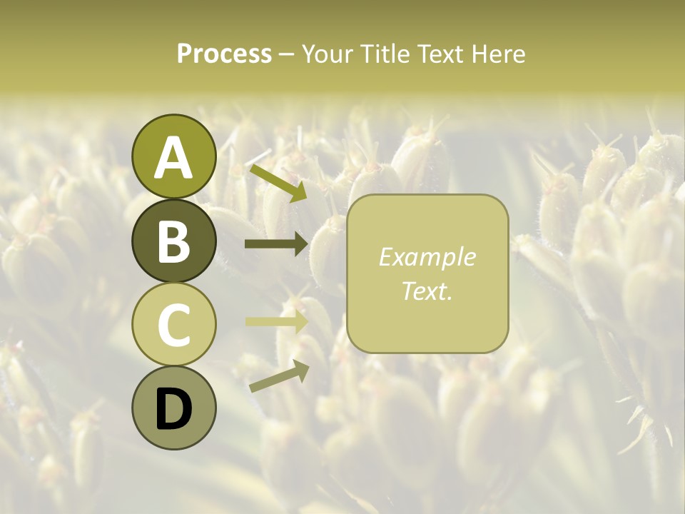 Screen Flowered Closeup Plant PowerPoint Template