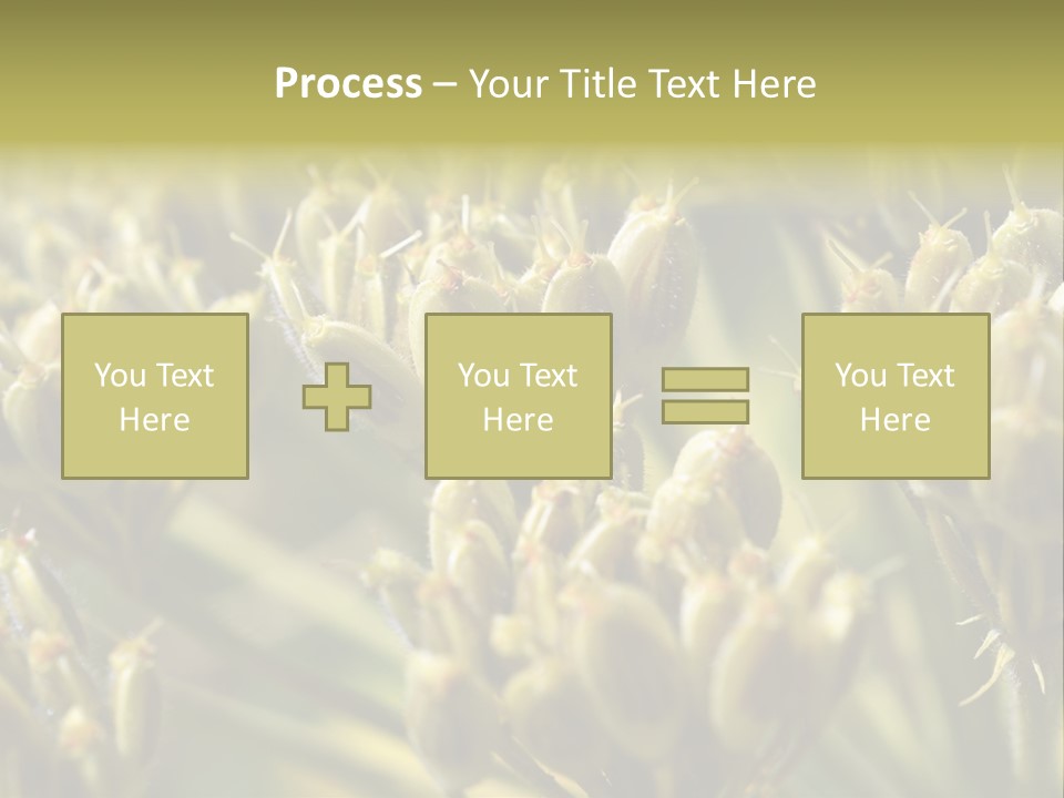 Screen Flowered Closeup Plant PowerPoint Template