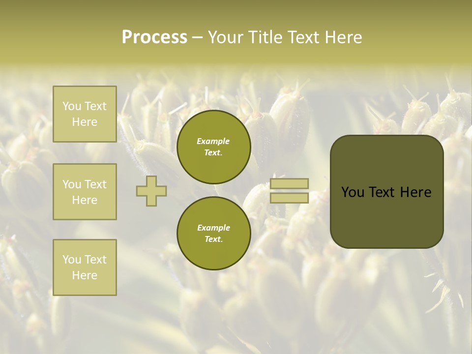 Screen Flowered Closeup Plant PowerPoint Template