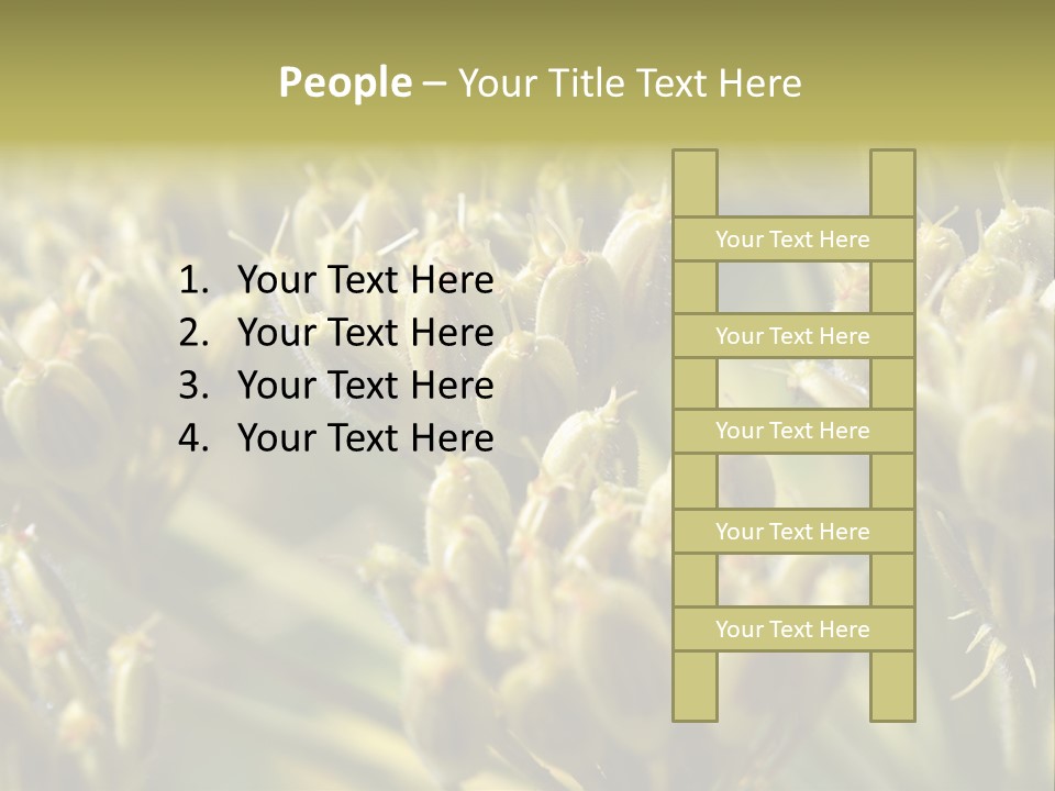 Screen Flowered Closeup Plant PowerPoint Template