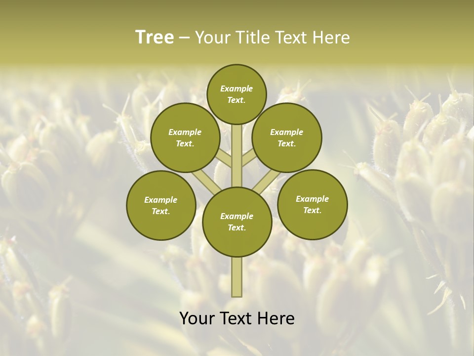 Screen Flowered Closeup Plant PowerPoint Template