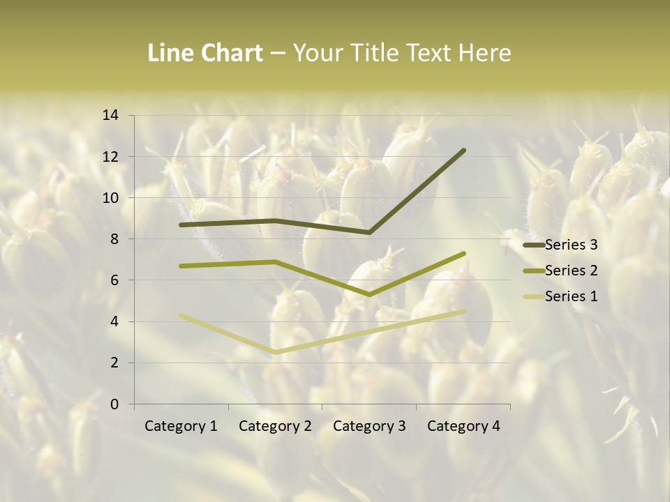 Screen Flowered Closeup Plant PowerPoint Template