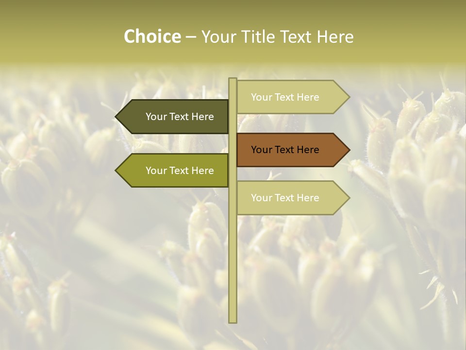 Screen Flowered Closeup Plant PowerPoint Template