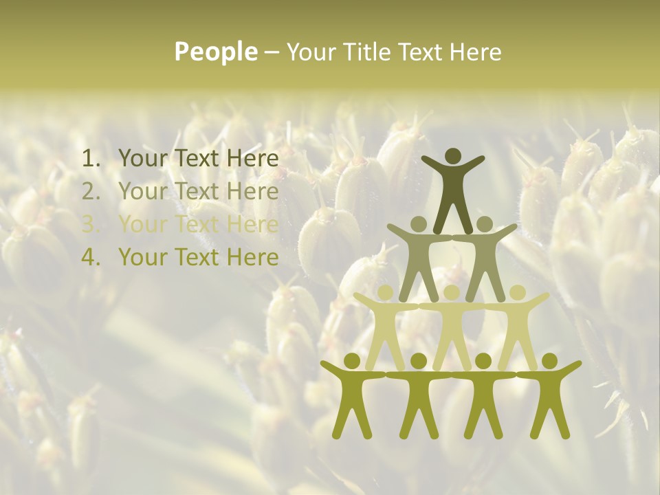 Screen Flowered Closeup Plant PowerPoint Template
