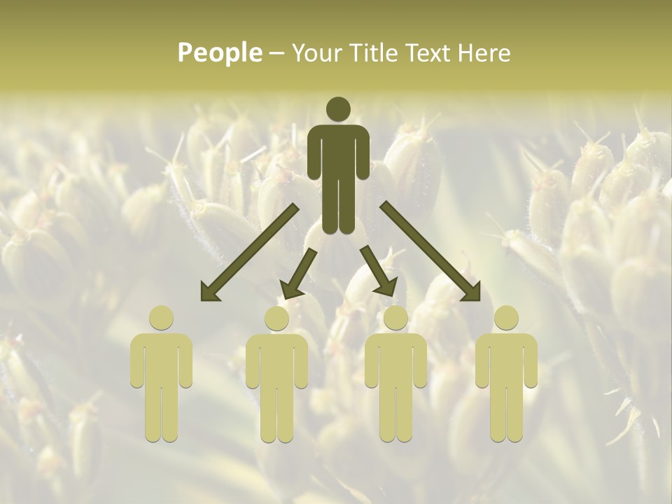 Screen Flowered Closeup Plant PowerPoint Template