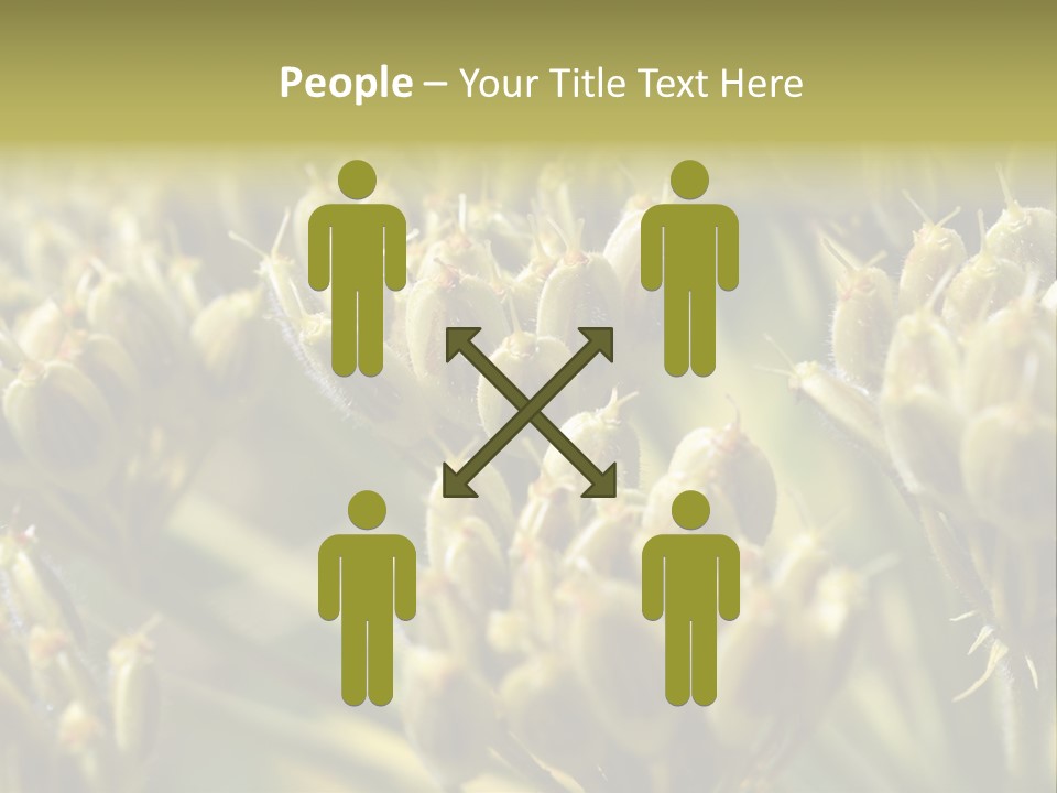 Screen Flowered Closeup Plant PowerPoint Template