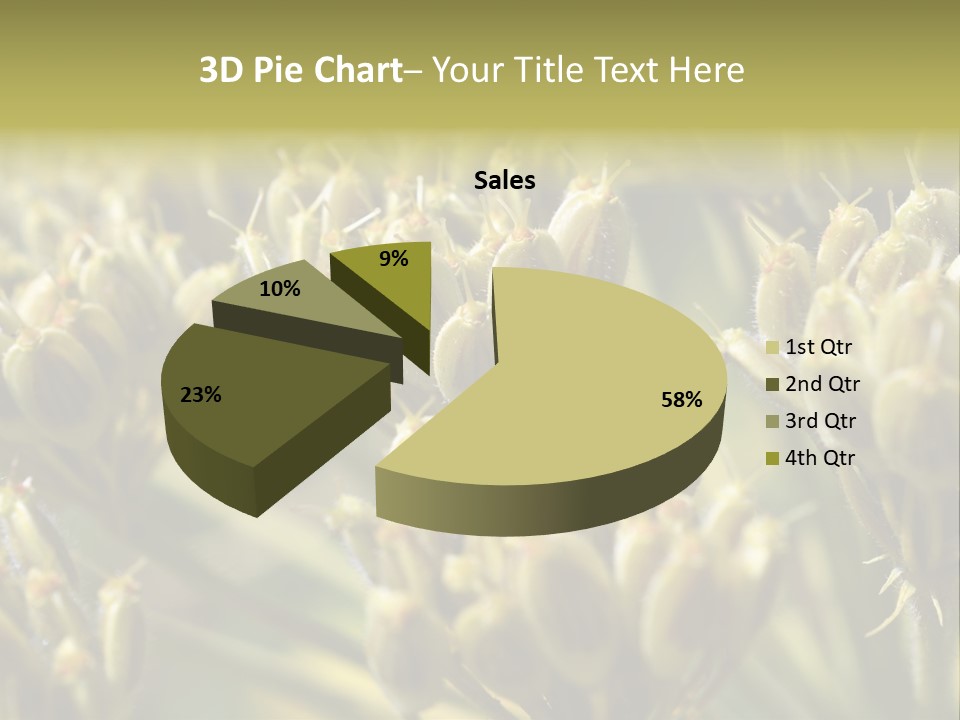 Screen Flowered Closeup Plant PowerPoint Template