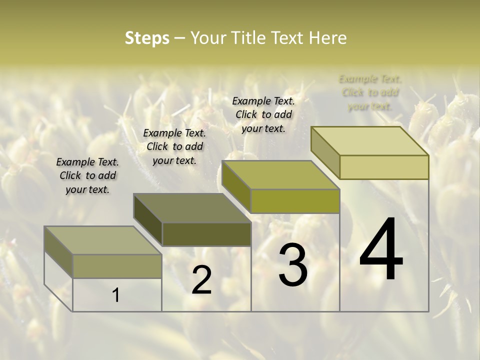 Screen Flowered Closeup Plant PowerPoint Template