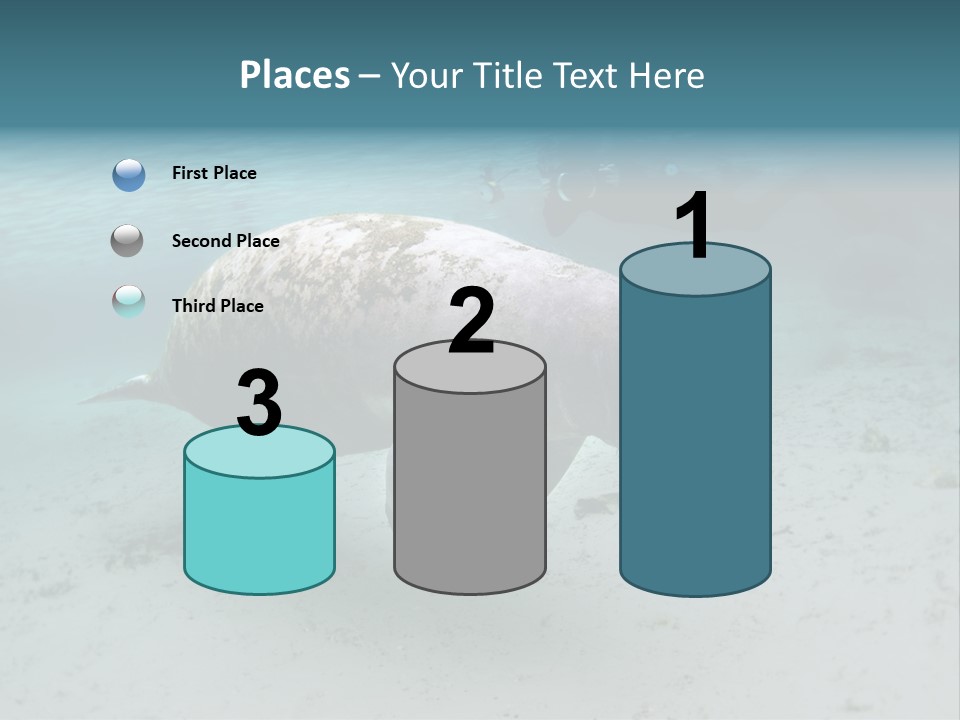 Tropical Bottom Crystal PowerPoint Template