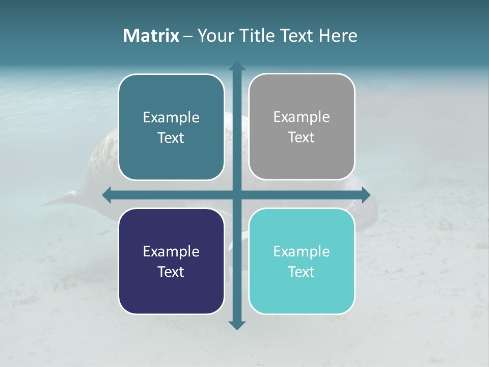 Tropical Bottom Crystal PowerPoint Template