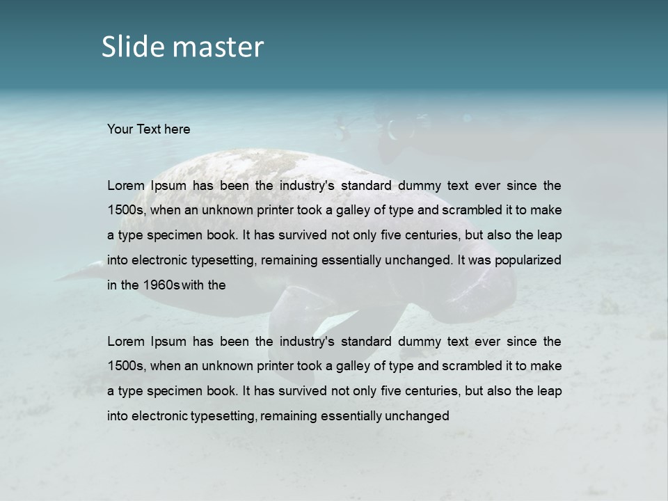 Tropical Bottom Crystal PowerPoint Template