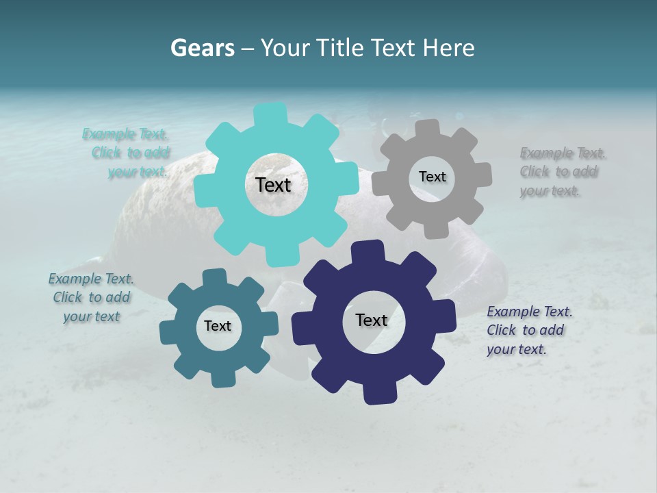 Tropical Bottom Crystal PowerPoint Template