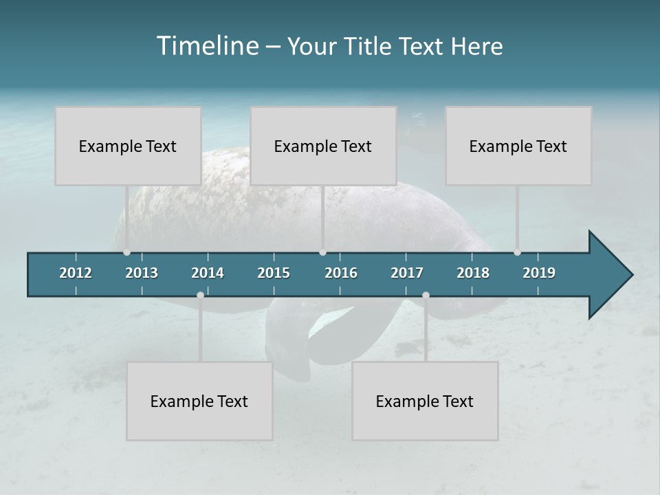 Tropical Bottom Crystal PowerPoint Template