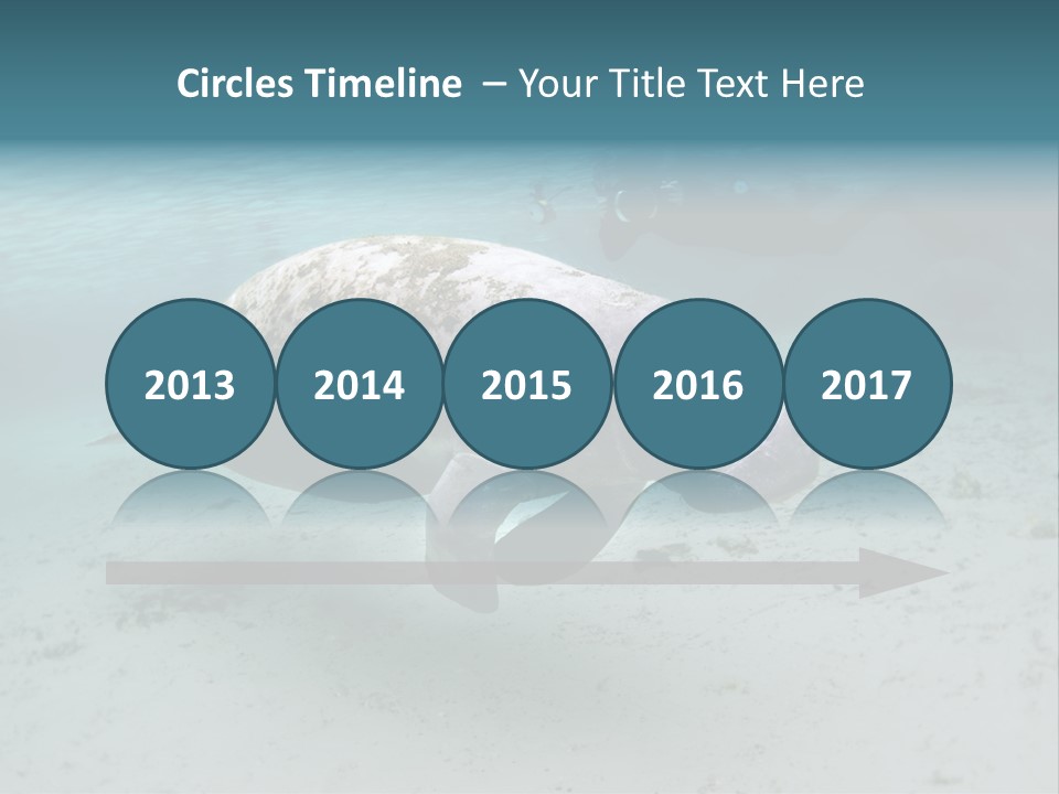 Tropical Bottom Crystal PowerPoint Template