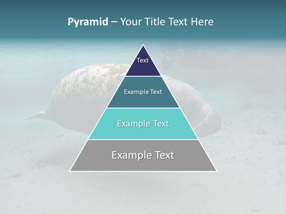 Tropical Bottom Crystal PowerPoint Template