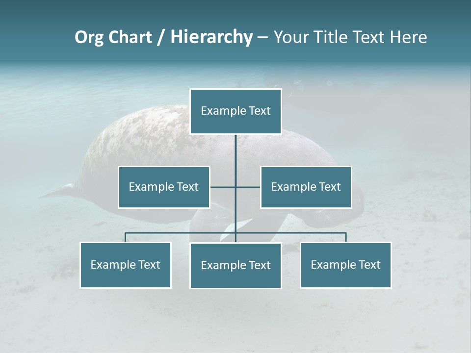 Tropical Bottom Crystal PowerPoint Template