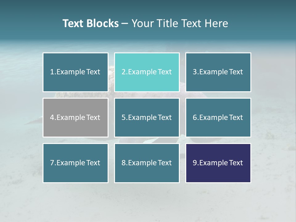 Tropical Bottom Crystal PowerPoint Template