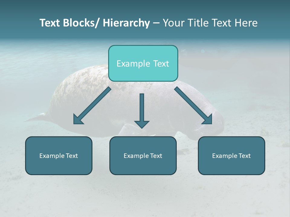 Tropical Bottom Crystal PowerPoint Template
