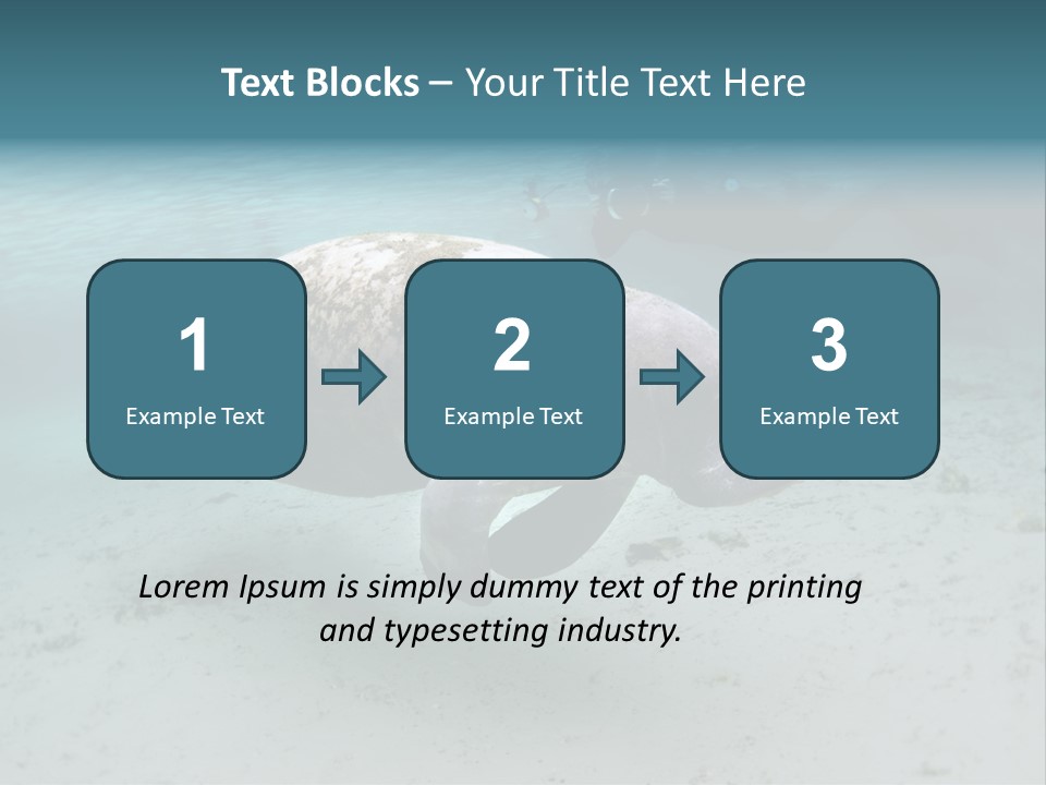 Tropical Bottom Crystal PowerPoint Template